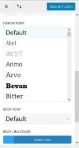 The Divi theme customizer font options