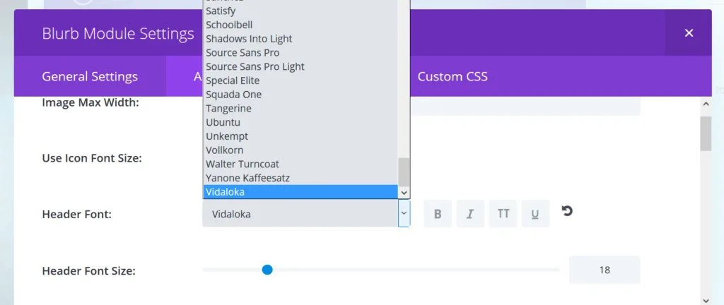 A custom Google Font available in the Divi page builder