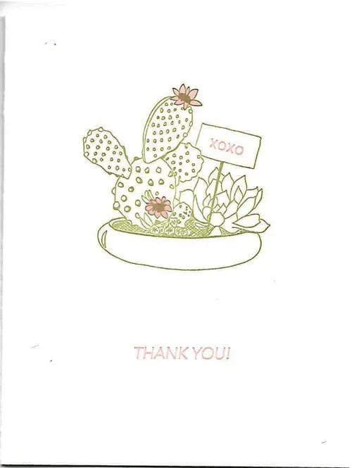 Thank you cactus