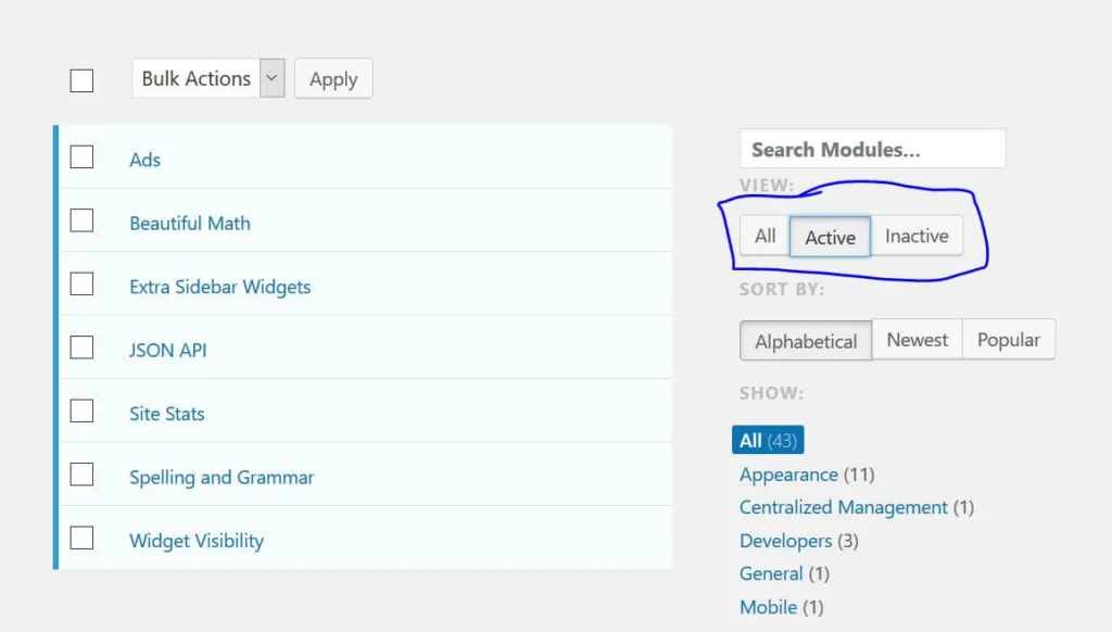 A list of active modules on a Jetpack-enabled site