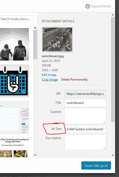 Where to find the alt text input in the WordPress media library