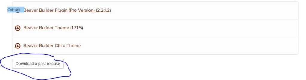 The download past release button on Beaver Builder