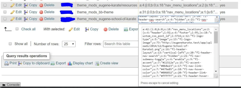 An example of the theme_mods value for a customized theme in phpMyAdmin